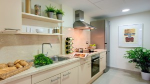 kitchen apartment